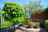 45644 Camino Rubi - Photo 30