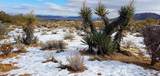 0 Desert Queen Avenue - Photo 4