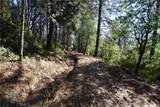 17861 Ponderosa - Photo 23