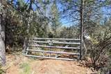 17861 Ponderosa - Photo 29