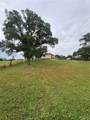 5 Fairhill - Photo 6