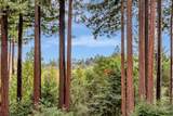 12845 Love Creek Road - Photo 49