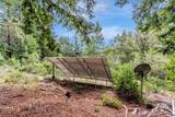 12845 Love Creek Road - Photo 54
