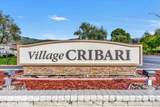 5302 Cribari - Photo 37
