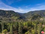 20441 Cove Road - Photo 12