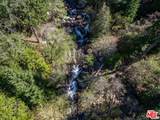 20441 Cove Road - Photo 16