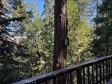 23992 Lakeview Dr. - Photo 12