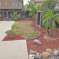 31935 Violet Drive - Photo 31
