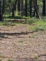 0 Boeta Court - Photo 4