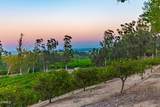 14855 Middle Ranch Road - Photo 69