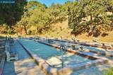 1168 Leisure Ln - Photo 39