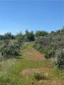 0 Round Valley Ranch Road - Photo 22