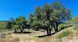 26380 San Felipe Road - Photo 65