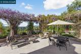 251 Santiago Ln - Photo 19