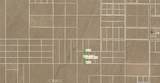 0 Cactus - Photo 1