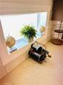 1667 Oak Street - Photo 41