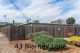 35 Blarney - Photo 10