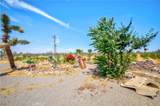 3789 Luna Road - Photo 53