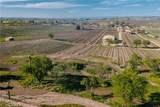 5575 El Pomar - Photo 3