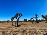 57031 Buena Vista - Photo 10