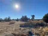57031 Buena Vista - Photo 11