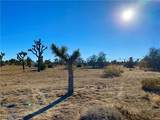 57031 Buena Vista - Photo 12
