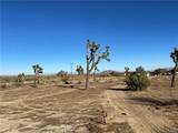 57031 Buena Vista - Photo 2