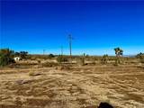 57031 Buena Vista - Photo 3