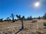 57031 Buena Vista - Photo 7