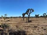 57031 Buena Vista - Photo 8
