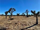 57031 Buena Vista - Photo 9