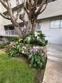11692 Chenault Street - Photo 11