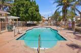 10128 Camino De Rosa - Photo 66