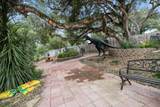 18171 Berta Canyon Road - Photo 41