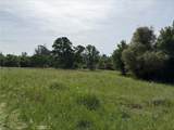 5 Acres Mountain Springs Road - Photo 4