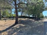 460 Lake Vista Drive - Photo 55