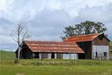 4144 Harmony Valley Road - Photo 13
