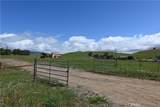 4144 Harmony Valley Road - Photo 15