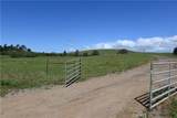 4144 Harmony Valley Road - Photo 17