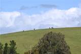 4144 Harmony Valley Road - Photo 2