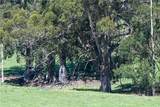 4144 Harmony Valley Road - Photo 24