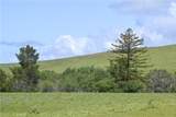 4144 Harmony Valley Road - Photo 3