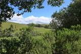 4144 Harmony Valley Road - Photo 33