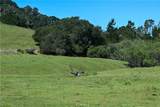 4144 Harmony Valley Road - Photo 4