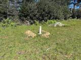 26555 Highway 1 - Photo 10