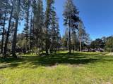 26555 Highway 1 - Photo 8