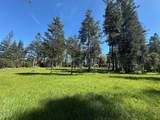 26555 Highway 1 - Photo 9
