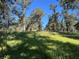 0 Rolling Oaks - Photo 9