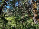 0 Rolling Oaks - Photo 10