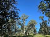0 Rolling Oaks - Photo 12